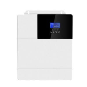 DSP control All In One Hybrid 25W Solar Charge Inverter