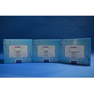 High Sensitivity Sulbactam ELISA Test Kit 0.02ng/Ml Sensitivity Milk Samples