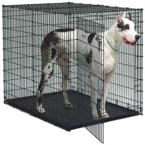 Quality Divider Panel 24inch Heavy Duty Metal Cage For Security for sale