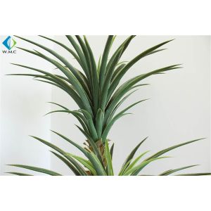Aloe Gladiolus Leaf Artificial Bonsai Tree , Plastic Artificial Agave Plant