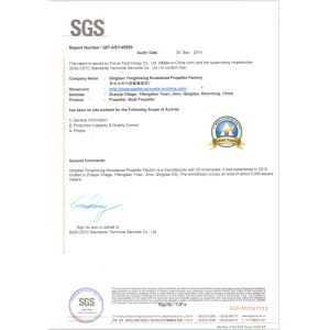 Qingdao Yonghexing Houseboat Propeller Factory Certifications