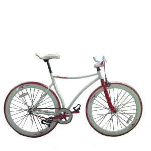 Customized CE Hi-Ten Steel Frame 700C Single Speed Fixed Gear Bike for Boys