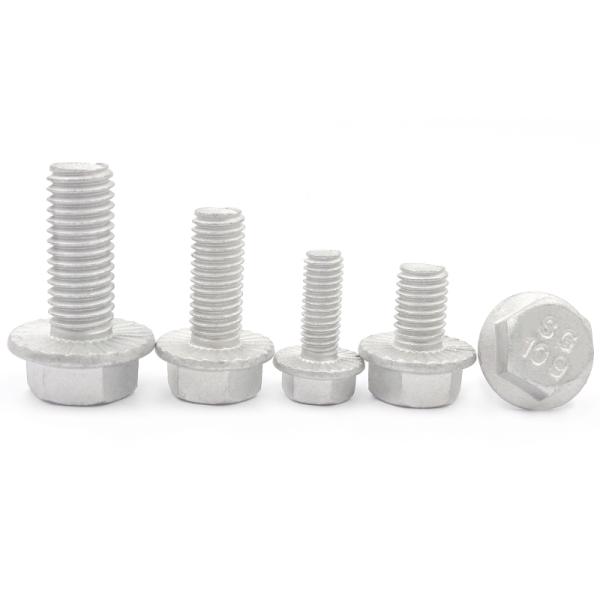 Direct Supply Hot Dip Galvanized HDG Plated Hex Flange Bolt DIN6921 for Construction