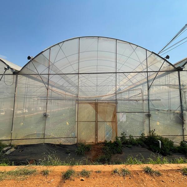 Buy Multispan Plastic Film Tunnel Greenhouse With Vertical Farming Hydroponics System at wholesale prices