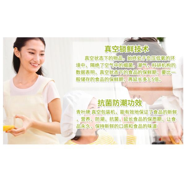 NEW Househlod Food Vacuum Sealer Packaging Machine Film Sealer Vacuum packer DZ-108