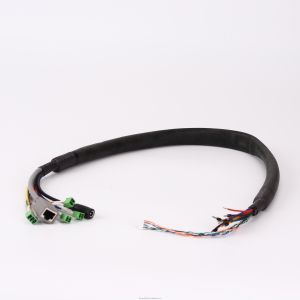 China Customized Design 20AWG Wire Harness with 100% Testing Inspection and RoHS Certification on sale