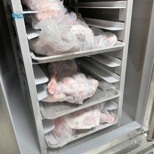 Vegetables Quick Freezer Machine Iqf Blast Freezer With Temperature Control