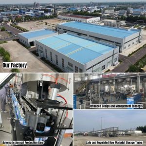 Multi Purpose Aerosol Spray Paint With Weather Resistant Corrosion Proof