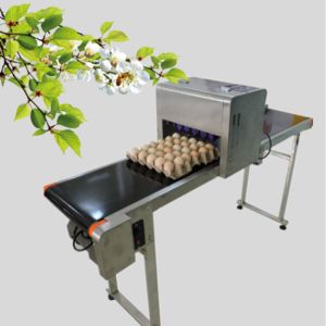 Quality 50 / 60 HZ Egg Inkjet Printer / Egg Marking Equipment With Touch Screen for sale
