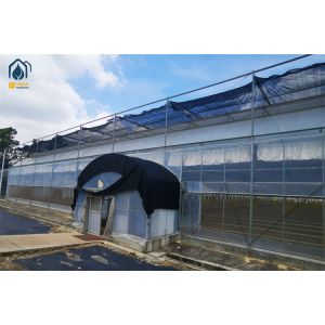Customized Polycarbonate Panel Greenhouse Year Round Vegetable Greenhouse
