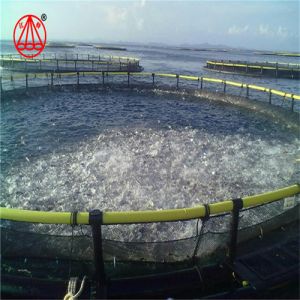 Safe Hdpe Farm Fish Cage Trap , Fish Cage Culture Easily Quickly Installed