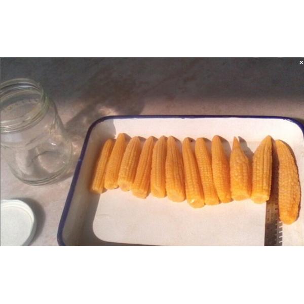Buy baby corn in jars at wholesale prices