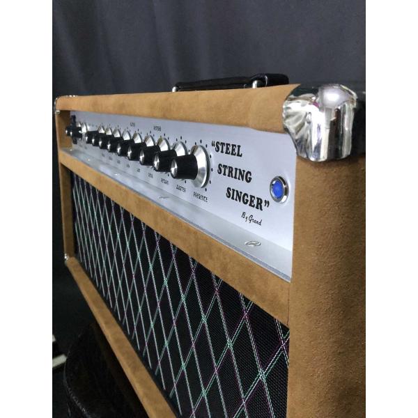 Custom Grand Tube Guitar Amp Head 100W Dumble Clone SSS Steel String Singer Valve Amplifier Series