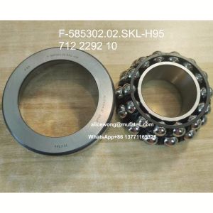 Vehicle Automobile Differential Bearings F-585302.02.SKL-H95 712 2292 10 Inch