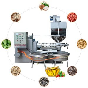 Sunflower Screw Oil Press Machine Oil Extraction Machine Equipment