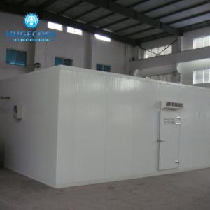 China Cooling System Cold And Freezer Rooms With Glycol Secondary Refrigeration on sale