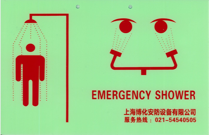 ANSI-Compliant Stainless Steel Combination Shower and Eyewash Station