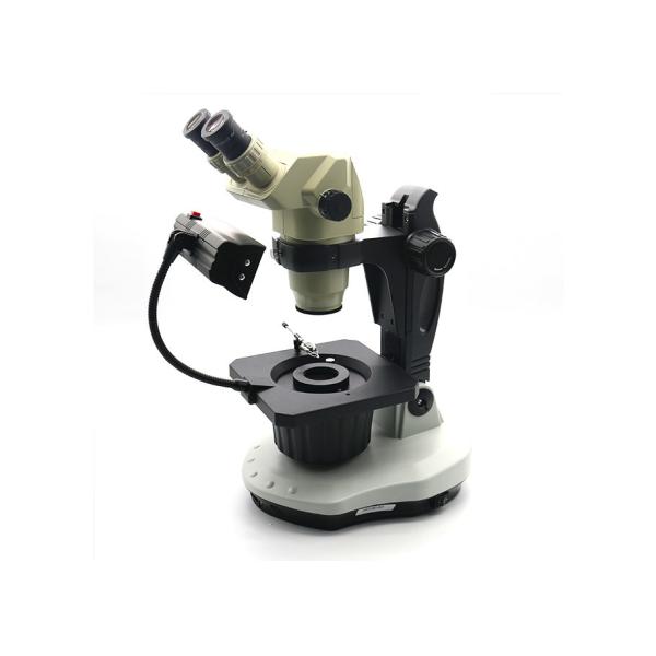 Buy Oval shape Generation 3rd Binocular Microscope With F11 binocular lens at wholesale prices