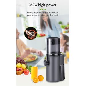 Big Mouth Cold Press Commercial Fruit Juicer Multifunctional Electric Juicer