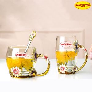 330ml 350ml Decorated Enamel Glass Cup BPA Free With Spoon