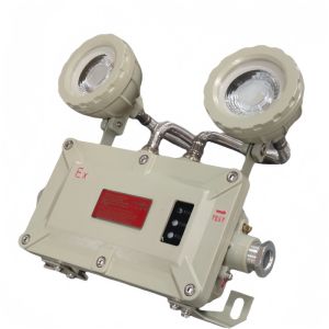 Explosion Proof Emergency Light – Wall & Ceiling Mounted | ATEX/IECEx Certified
