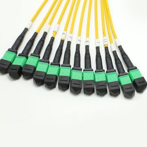 1M MPO Fanout Cable