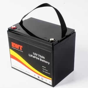 Boat Lithium Iron Phosphate Battery Pack 12V 100Ah for Rechargeable Plug-in