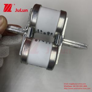 690V Rated Voltage BUSSMANN 630MMT Ceramic Automotive Fuses With Twin Flat Plate