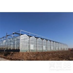 Advanced Hydroponic System for Growing Vegetables in Agricultural Greenhouses