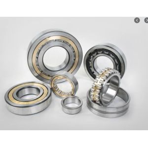 N309 NU309 NJ 309 45x100x25mm cylinder roller bearing Engineering Machinery