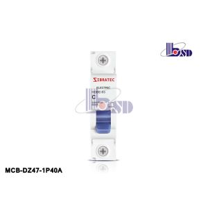 Plastic B Type Mini Circuit Breaker 2 Pole IEC60898 Standard OEM Service