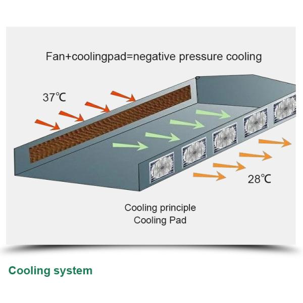 High Yield Three Layer Glass Greenhouse for Optimal Plant Growth and Vegetable Farming