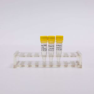 ARTIC SARS-CoV-2 NGS Library Construction Multiplex PCR Kit