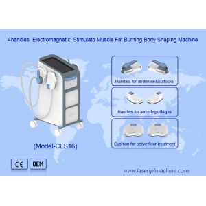 Fat Burning and Shipping Services with EMS Electronic Muscle Stimulate Machine