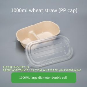 Wholesale Sugarcane Bagasse Pulp Lunch Box Takeaway Food Container Diaposiable