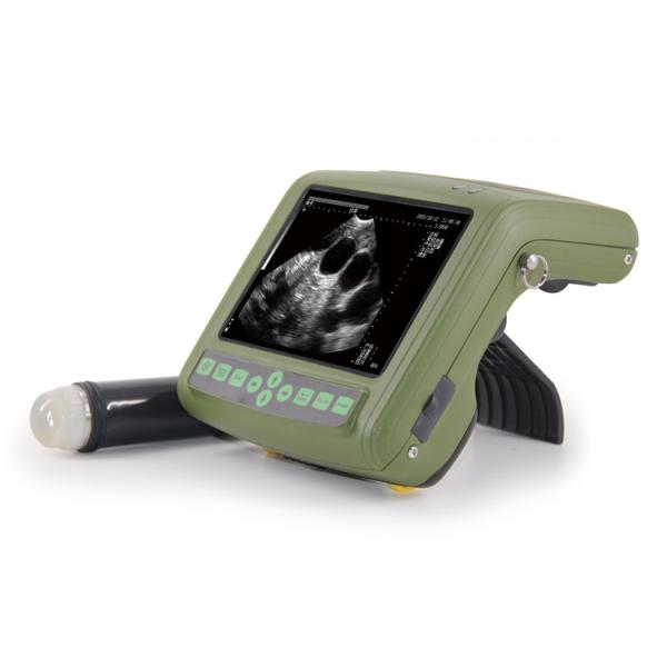 B Mode Ultrasonic Medical Diagnostic Instruments MSU1 PLUS Portable Veterinary Ultrasound