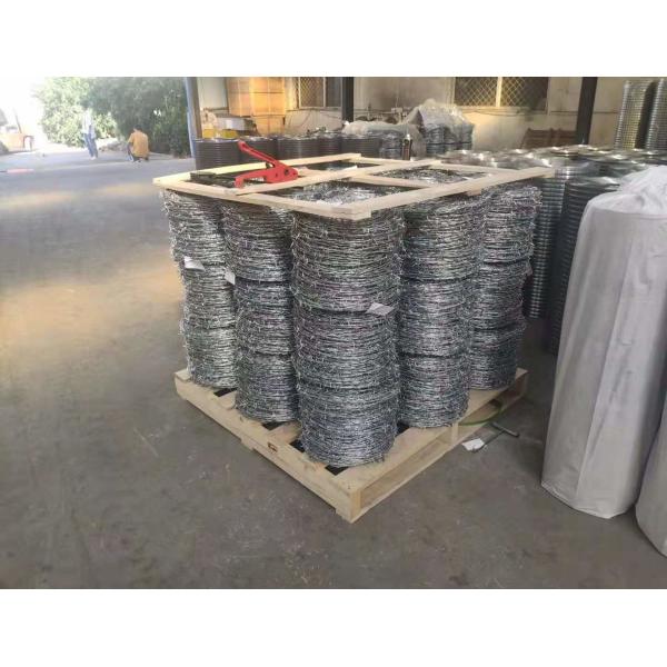 Snake Belly Razor Barbed Wire 500mm 10M Security Razor Wire Fencing