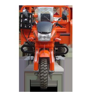 250cc Cargo Tricycle Motorcycle with 2000kg Loading Capacity