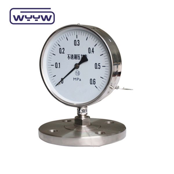 Stainless Steel Capillary Pressure Gauge with 1.5" Dial Size and 0-6bar Pressure Range for Wall-Hung Boilers