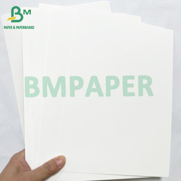 Good Printability 350gsm Food Box Paper White Coated Container Board