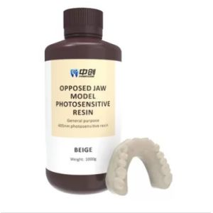 China Dental Model Resin Educational Research Applications Digital Dentistry Workflows on sale
