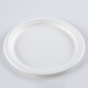Round Disposable Plates Natural Sugarcane Bagasse Compostable Eco Friendly