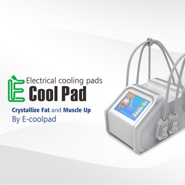 Cryolipolysis Fat Freezing Machine Electrical Muslce Stimulation Machine Beauty
