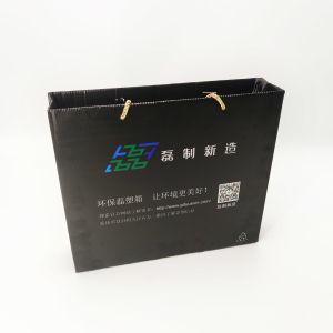 China Leiser Corrugated Biodegradable Packaging Bags 4C Printing on sale