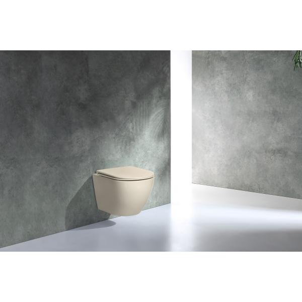 European Ceramic Rimless Washdown New Trend Taupe Color Wall Mounted Toilet Concealed Tank
