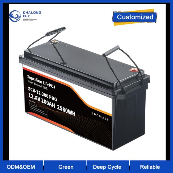 Customized Size 96V 300Ah Marine Lithium Battery with Stainless Steel Case and