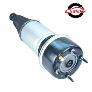 C2C41343 C2C41341 Rear Shock Absorber