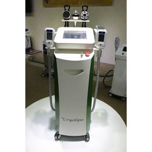 Quality cryolipolysis fat freeze slimming machine/cryolipoloysis slimming/cryolipolysis for sale