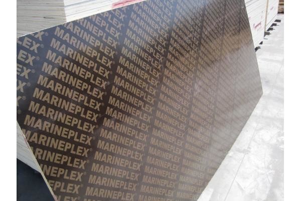 Buy Dynea Phenolic Film Faced Plywood With Double Side Coating 1220x2440mm at wholesale prices