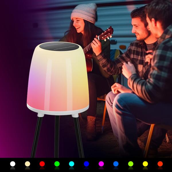 ABS/Iron LED Solar Decoration Light Outdoor 22*20*40.5 CM Inner Box 1.9KG G.W